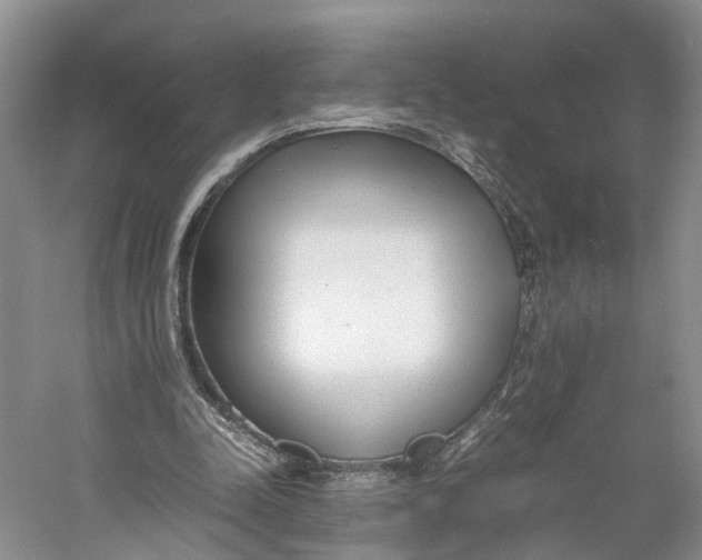 X0000060780342200512011645