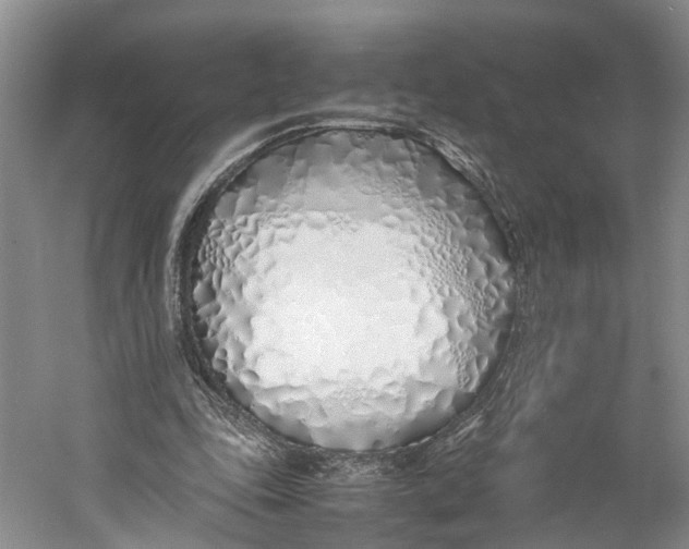 X0000060780343200512011645