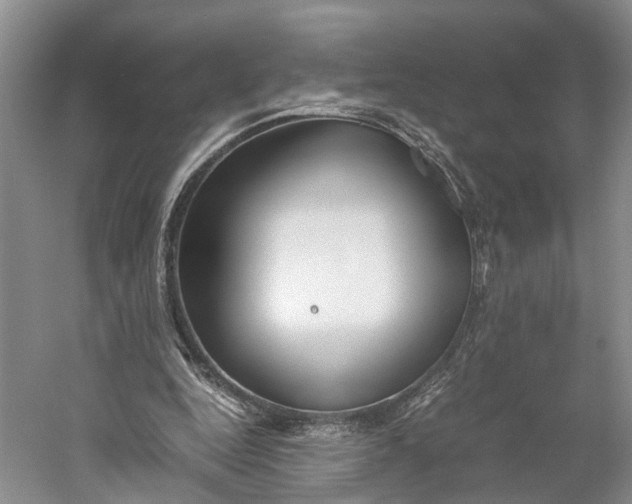 X0000060780344200512011645