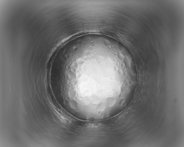 X0000060780346200512011645
