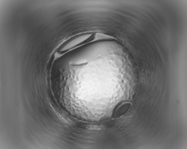 X0000060780347200512011645