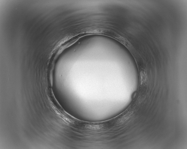 X0000060780349200512011645