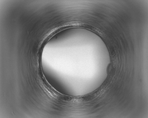 X0000060780350200512011645
