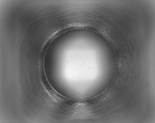 X0000060780352200512011645
