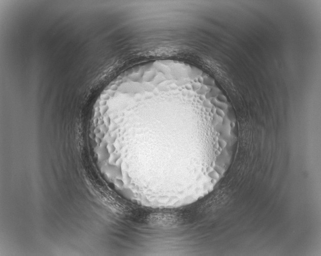 X0000060780354200512011645