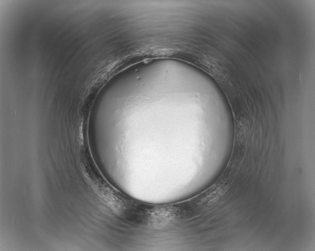X0000060780358200512011645