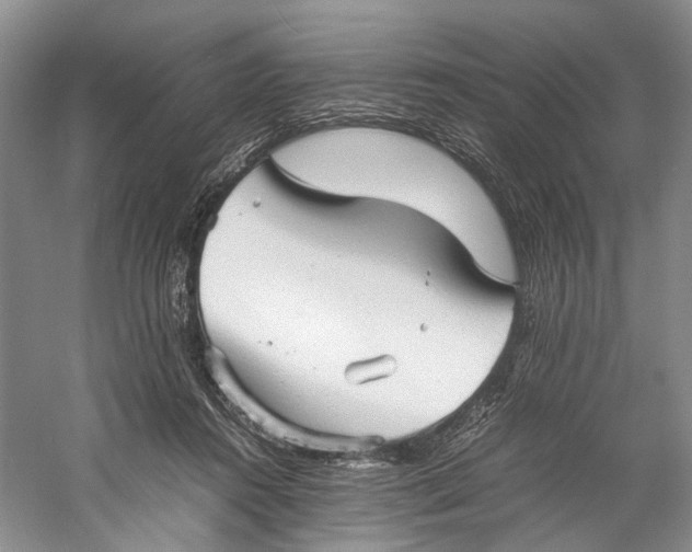 X0000060780360200512011645