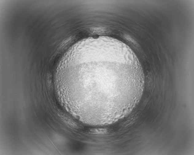 X0000060780361200512011645
