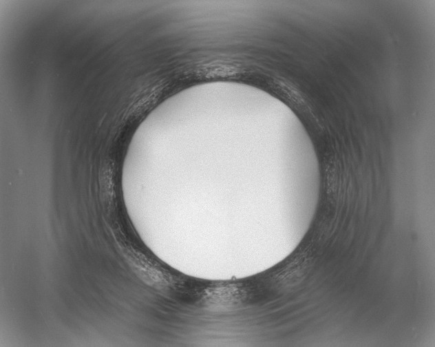 X0000060780362200512011645