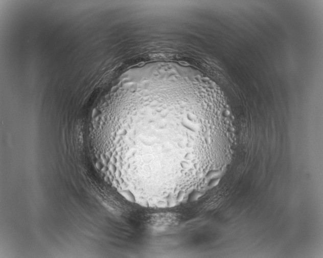 X0000060780363200512011645