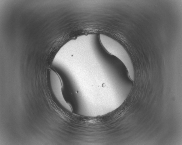 X0000060780365200512011645