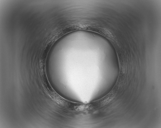 X0000060780366200512011645
