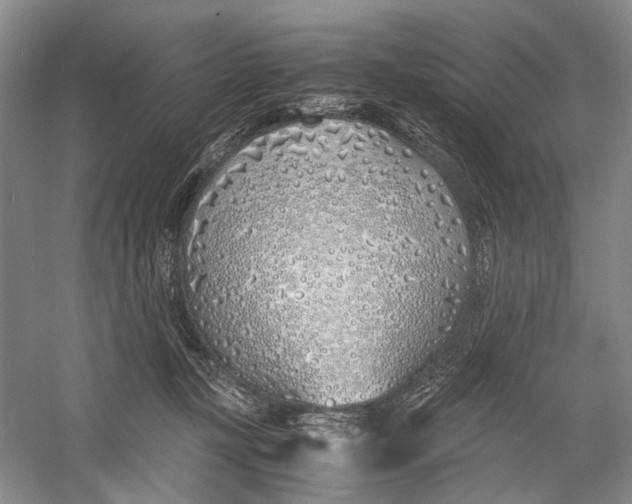 X0000060780367200512011645
