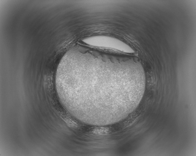 X0000060780369200512011645