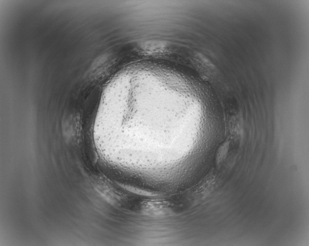 X0000060780372200512011645