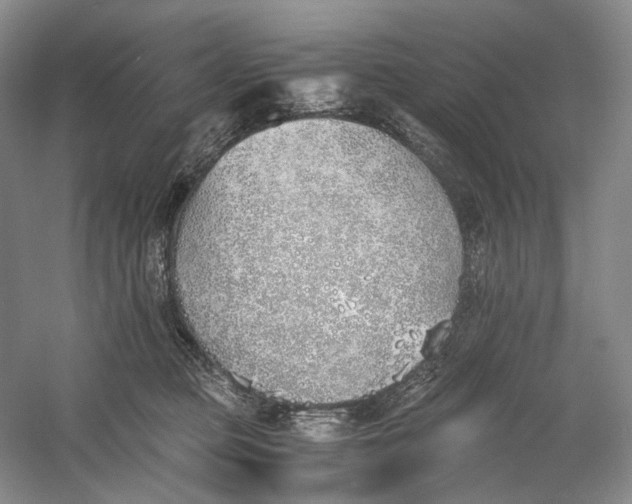 X0000060780373200512011645