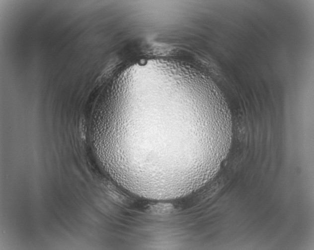 X0000060780374200512011645