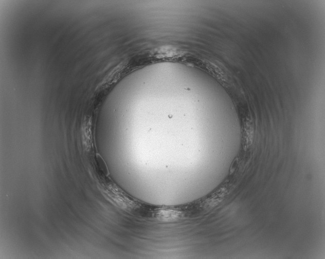 X0000060780376200512011645