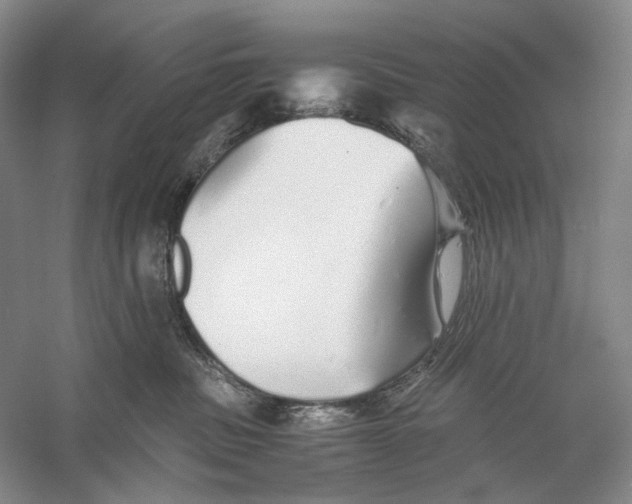X0000060780379200512011645
