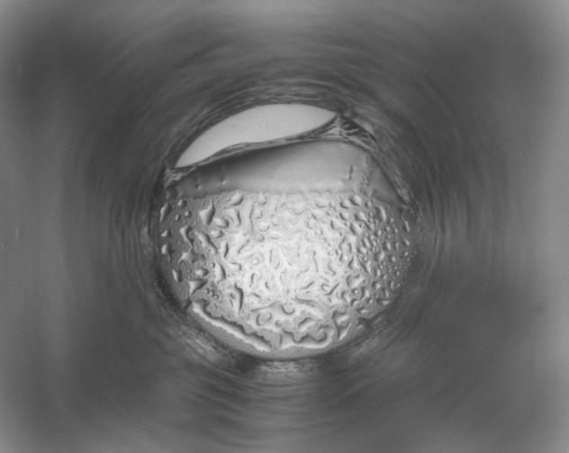 X0000060780381200512011645