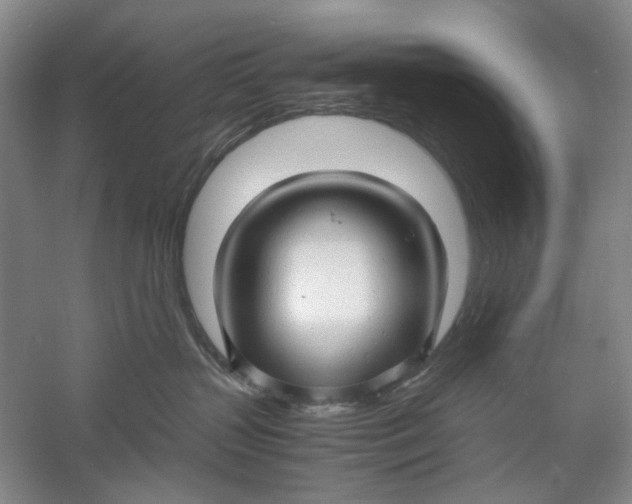 X0000060780383200512011645