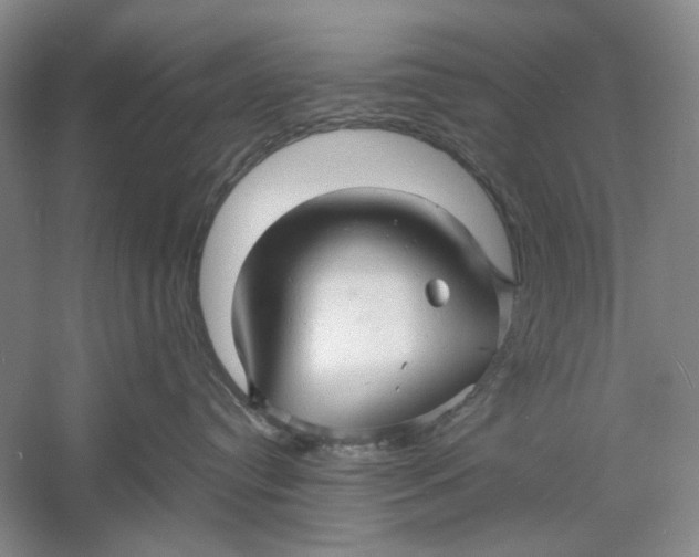 X0000060780384200512011645