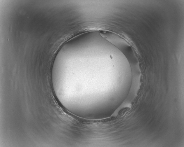 X0000060780385200512011645