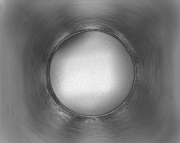 X0000060780386200512011645