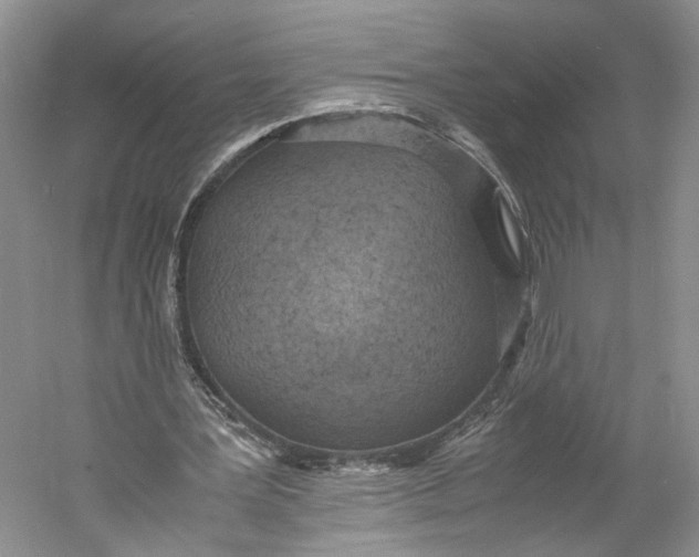 X0000060780387200512011645