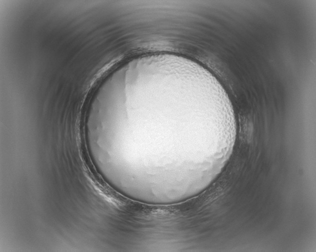 X0000060780390200512011645