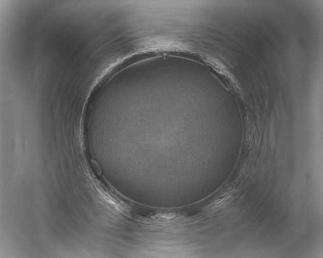 X0000060780391200512011645