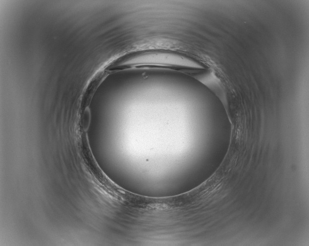 X0000060780392200512011645