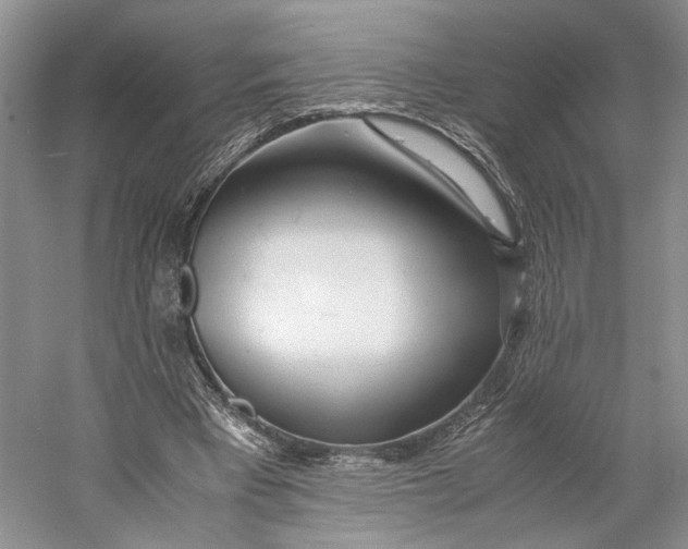 X0000060780393200512011644