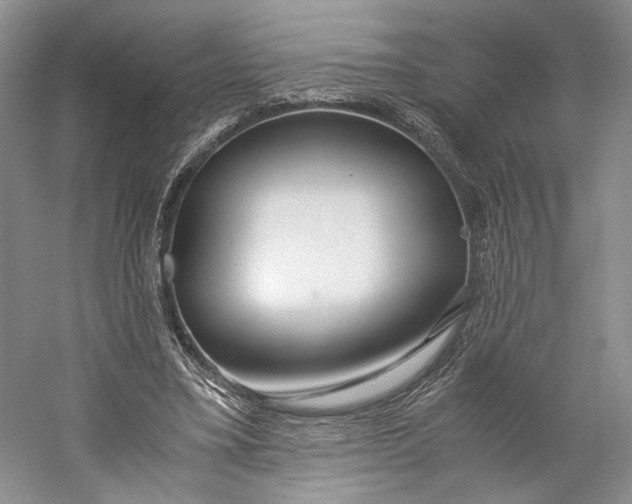 X0000060780395200512011644
