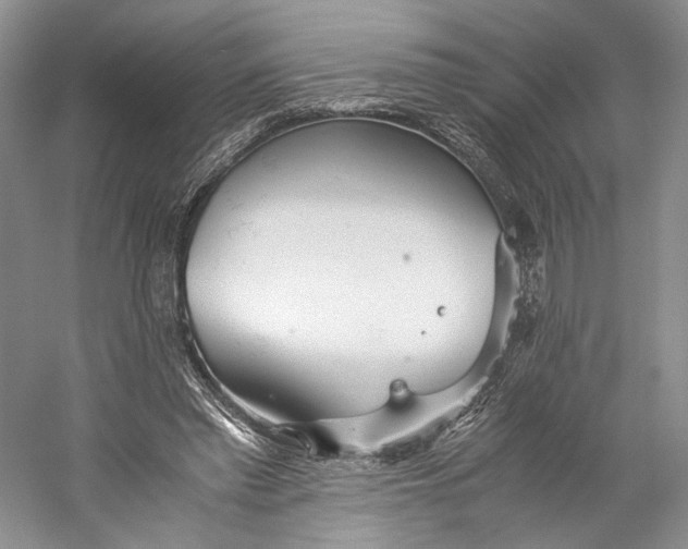 X0000060780397200512011644