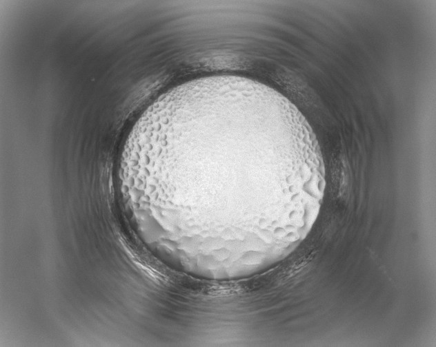 X0000060780398200512011644