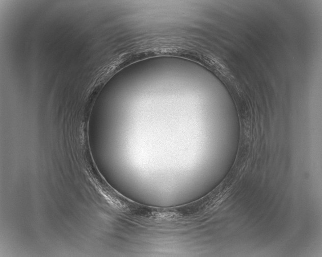 X0000060780401200512011644