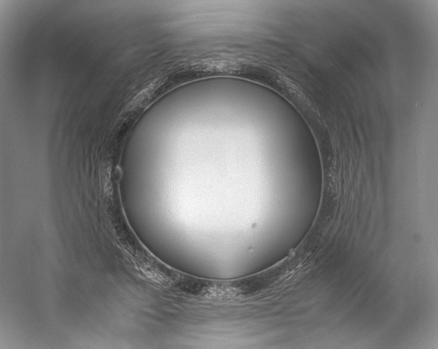X0000060780403200512011644