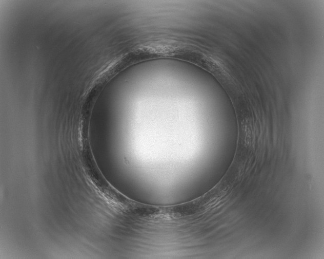 X0000060780404200512011644
