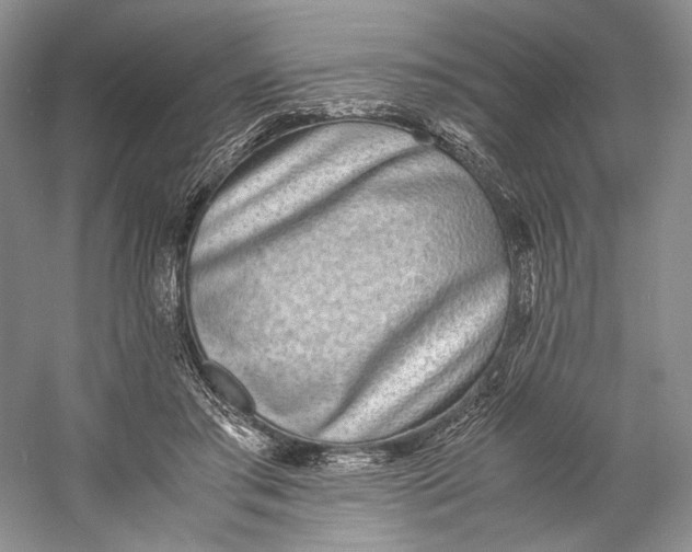 X0000060780405200512011644