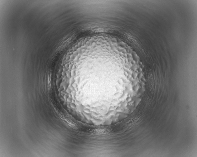 X0000060780406200512011644