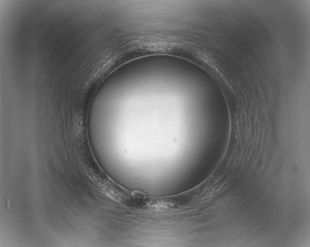 X0000060780407200512011644