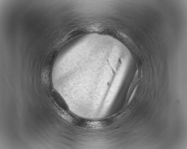 X0000060780409200512011644