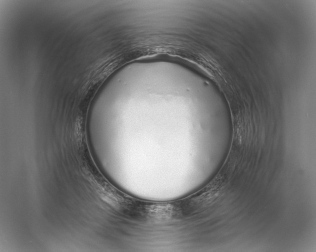 X0000060780410200512011644
