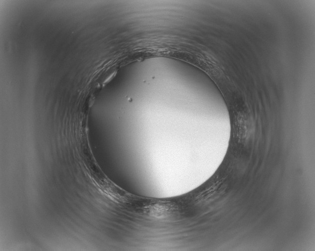 X0000060780412200512011644