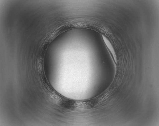 X0000060780413200512011644