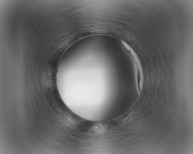 X0000060780416200512011644