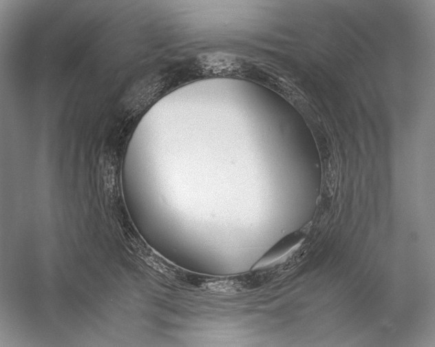 X0000060780417200512011644