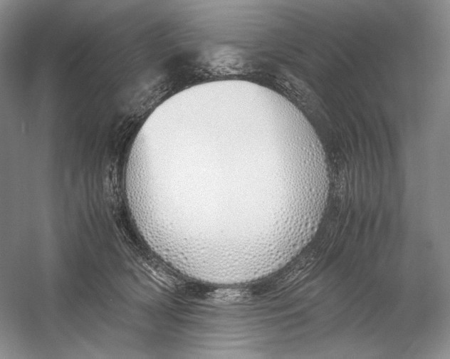 X0000060780418200512011644