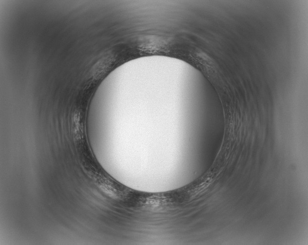 X0000060780420200512011644
